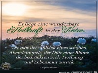 Es liegt eine wunderbare Heilkraft in der Natur