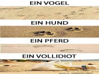 Ein Vollidiot