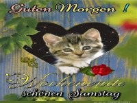Se Katze wnscht guten Morgen