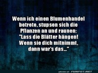 Humorvoller Spruch zu Pflanzen im Blumenladen