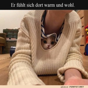 Kuschelige-Momente-im-Pullover.jpg von you-and-i