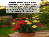 eine der besten lektionen