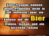 Problemlsung nach Bierologie