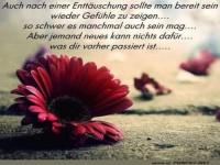 Blume der gebrochenen Herzen