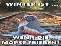 Warm eingepackt auf Schienenabenteuer