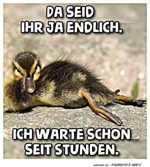 Ihr-seid-ja-endlich-da.jpg auf www.funpot.net