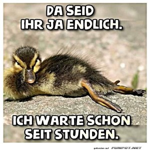 fun-Bild: Ihr seid ja endlich da