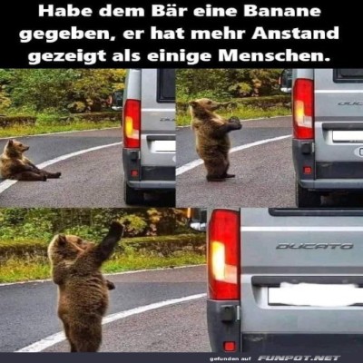 B&auml;r-bedankt-sich-auf-B&auml;ren-Art.jpg von Joeline