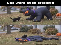 Der epische Showdown der Halloween-Katzen