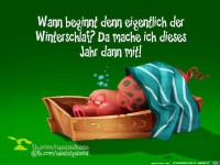 Wann beginnt der Winterschlaf
