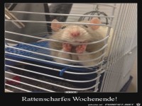 Sch�nes Wochenende