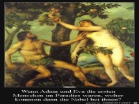 woher kommen dann die Nabel bei ihnen?...