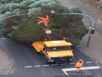 Weihnachtsbaum zu gro�
