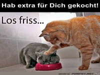 Friss das jetzt gef�lligst