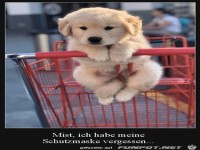 H�ndchen hat seine Maske vergessen