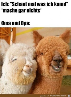 Oma-und-Opa.jpg auf www.funpot.net