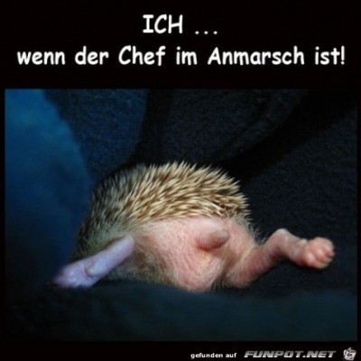 Schnell-weg.jpg von Leya