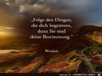 Folge den Dingen die dich begeistern