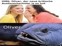 Kann man geteilter Meinung sein