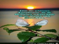 Eines der schnsten Koplimente