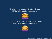 Der B�rohund bringt Freude