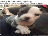 Wenigstens einer h�rt zu