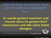 Kater ist abgekämpft