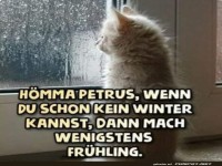 Katerchen und der Fr�hlingswunsch