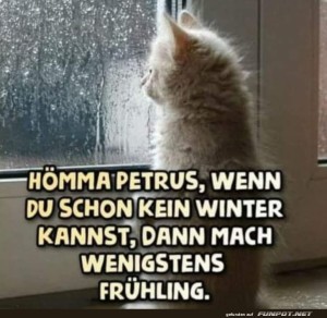 Katerchen-und-der-Frhlingswunsch.jpg auf www.funpot.net