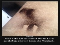 Wer hat das Chaos verursacht?