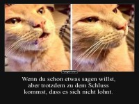 Nachdenkliche Katze im Meme