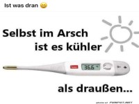 Lustiges Thermometer-Meme bei Hitze