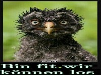 Verrckter Vogel bereit fr den Tag!