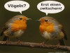 weiter