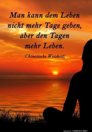 Sonnenuntergangs-Weisheit-mit-einer-Prise-Humor.jpg auf www.funpot.net
