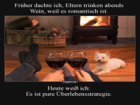 Wein und berlebensstrategie