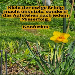 nicht-der-ewige-erfolg.jpg von Fabioma