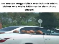 K�pfe oder Kofferraum? Das R�tsel des Cabrios!