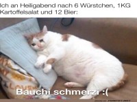 Feierabend-Kater-Kom�die auf dem Sofa