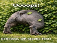 Wer hat den Ausgang verschoben?