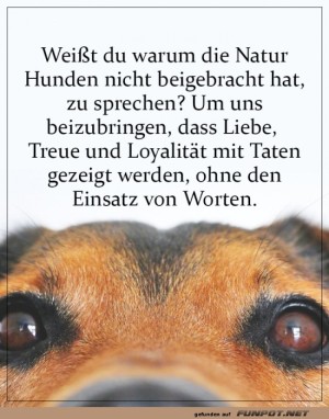 Lass-Taten-sprechen-und-nicht-Worte.jpg auf www.funpot.net