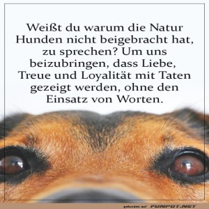 Lass-Taten-sprechen-und-nicht-Worte.jpg von Leona