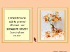 weiter