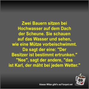 Zwei-Bauern-sitzen-bei-Hochwasser-auf-dem-Dach-der-Scheune.jpg von Fossy