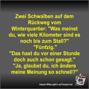 Zwei-Schwalben-auf-dem-Rückweg-vom-Winterquartier.jpg von Fossy