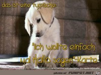 ich wollte einmal nur hallo sagen