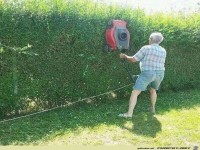 Hecke schneiden mal anders