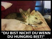 Der Hunger ist m�chtig