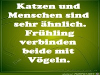 Katzen und Menschen sind sehr aehnlich