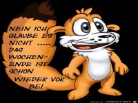 Wochenende ist schon wieder vorbei